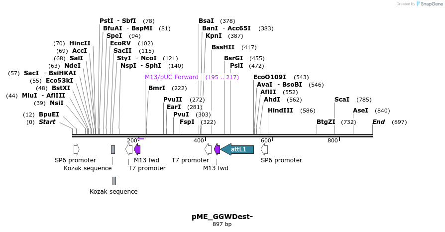 78123_map