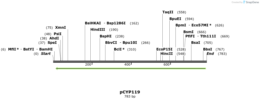 78129_map