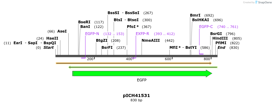78132_map