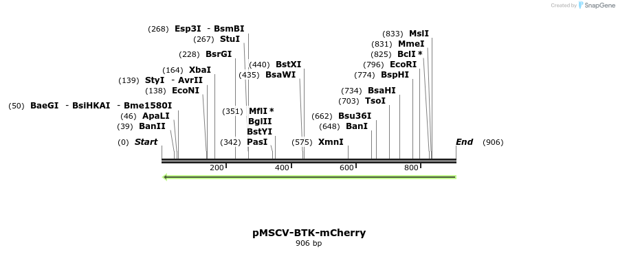 78135_map