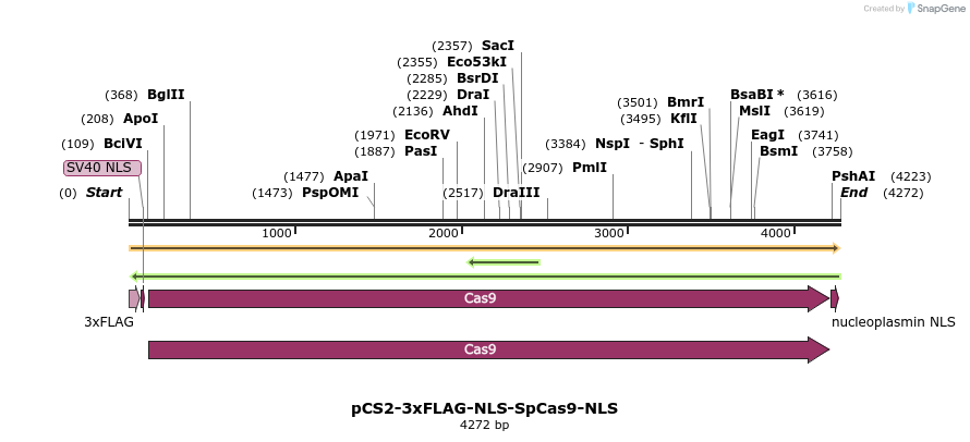 78136_map