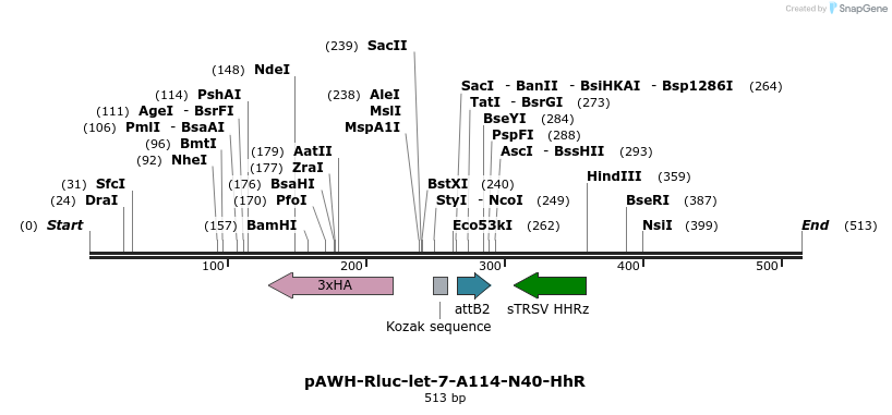 78140_map