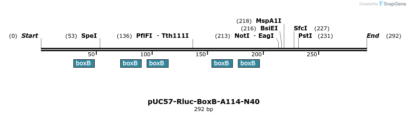 78147_map