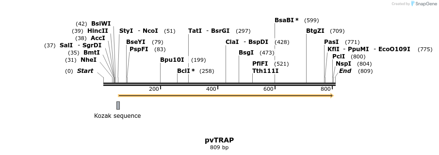 78155_map