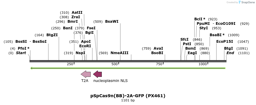 78157_map