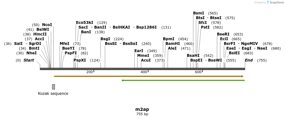 78160_map