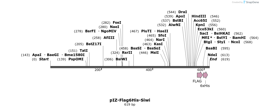 78162_map