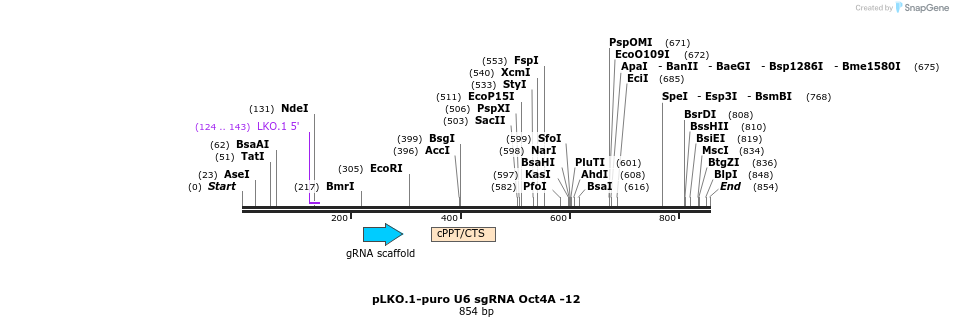 78166_map