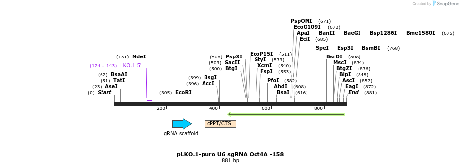 78167_map