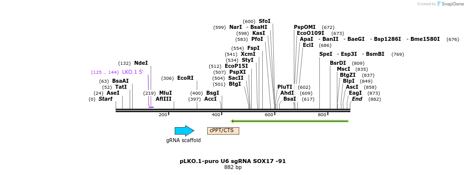 78168_map