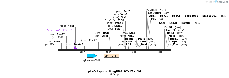 78170_map