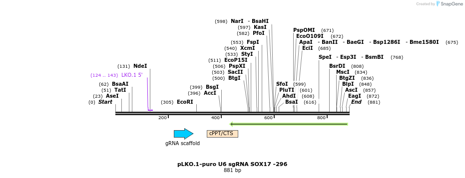 78174_map
