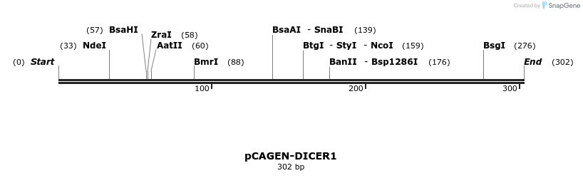 78180_map