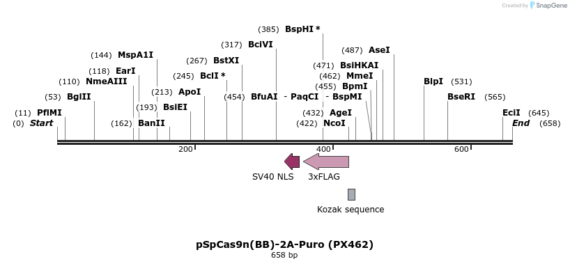 78198_map