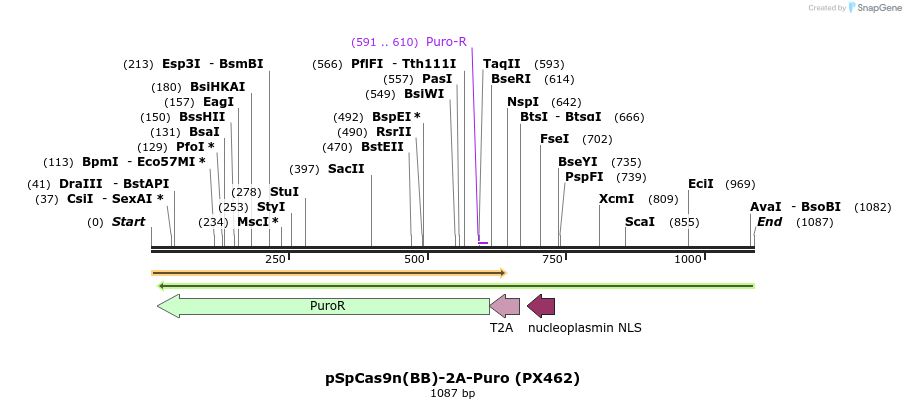 78201_map