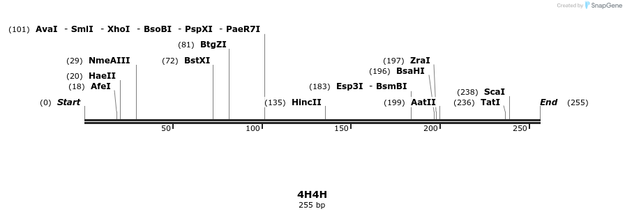 78216_map