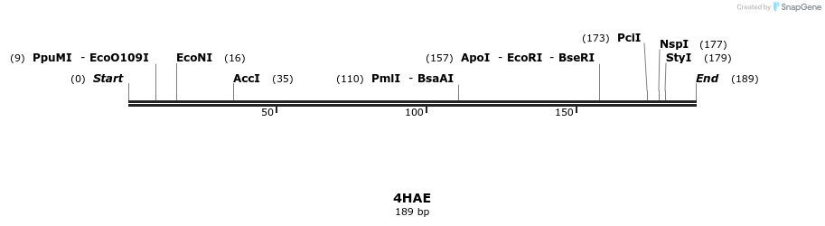 78217_map