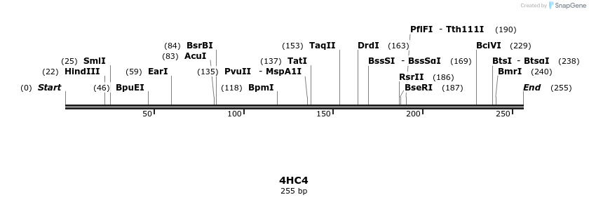 78219_map