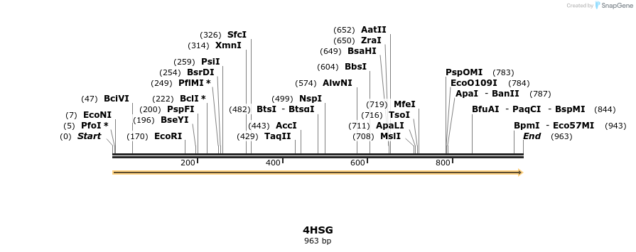 78220_map