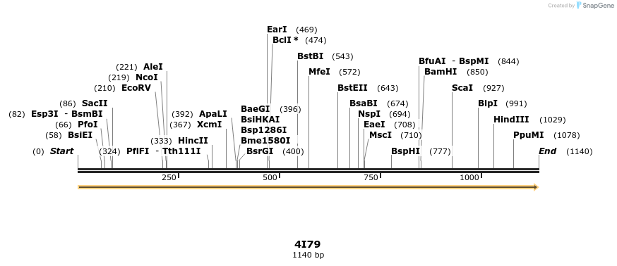 78221_map