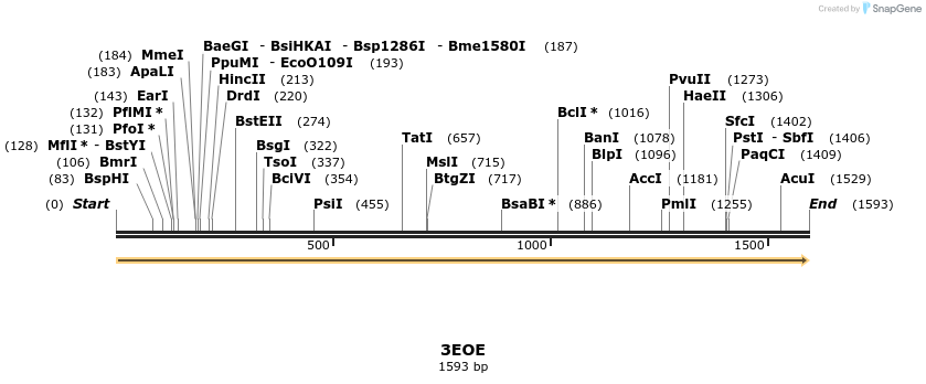78231_map