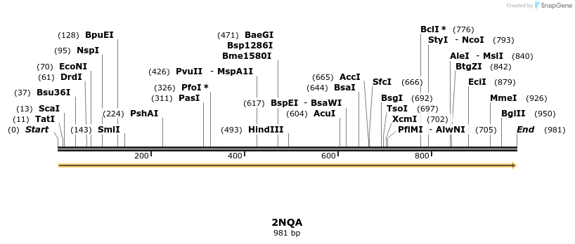 78232_map