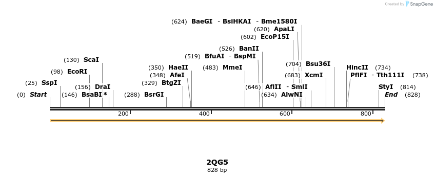 78233_map