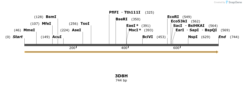 78234_map