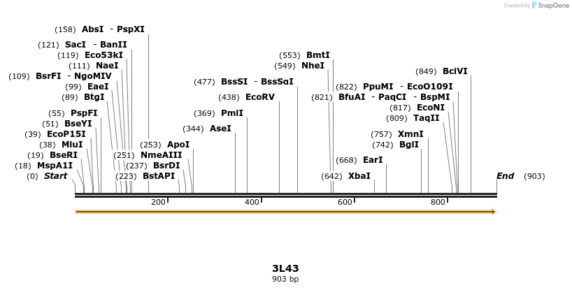 78236_map