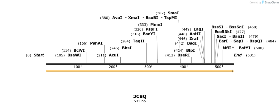 78239_map