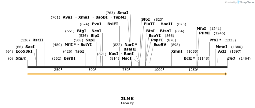 78241_map