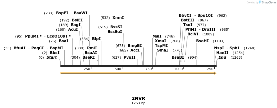 78242_map