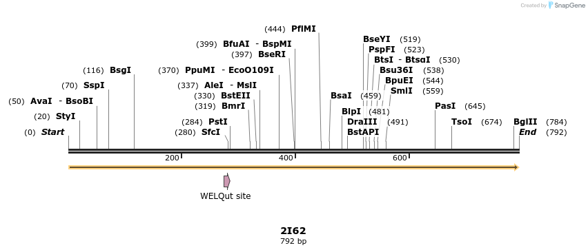 78246_map