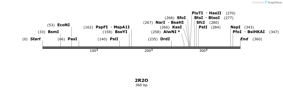 78251_map