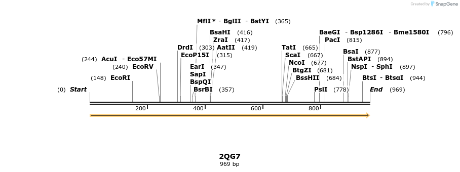 78252_map