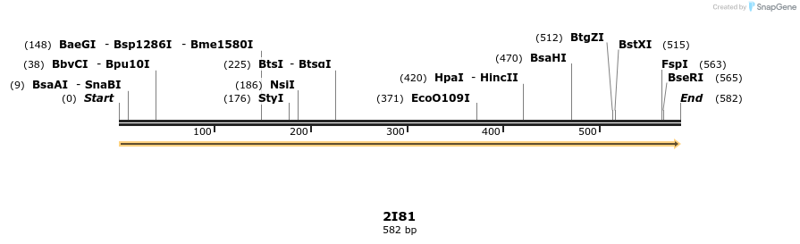 78253_map