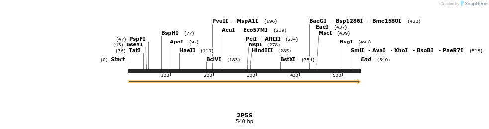 78255_map