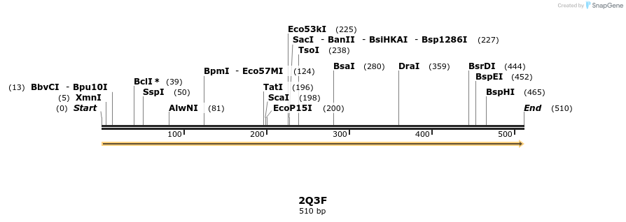 78257_map