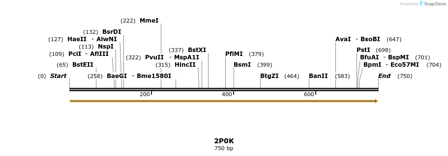 78258_map
