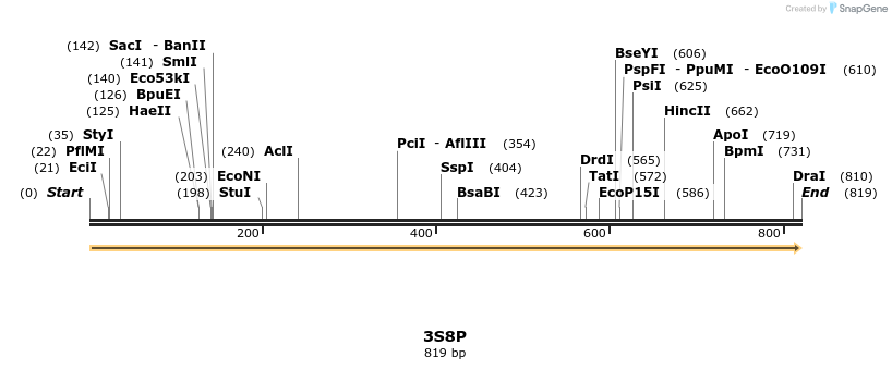 78261_map