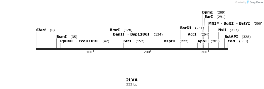 78262_map