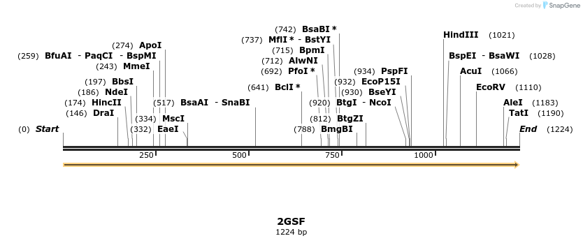 78264_map