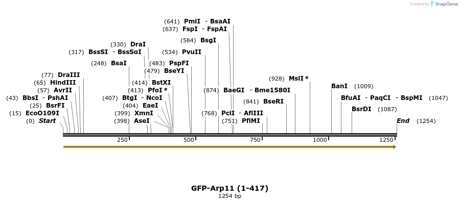 78286_map