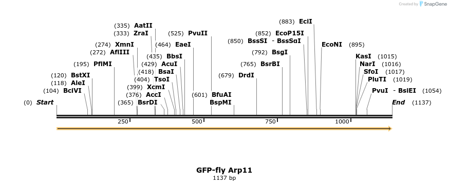 78287_map