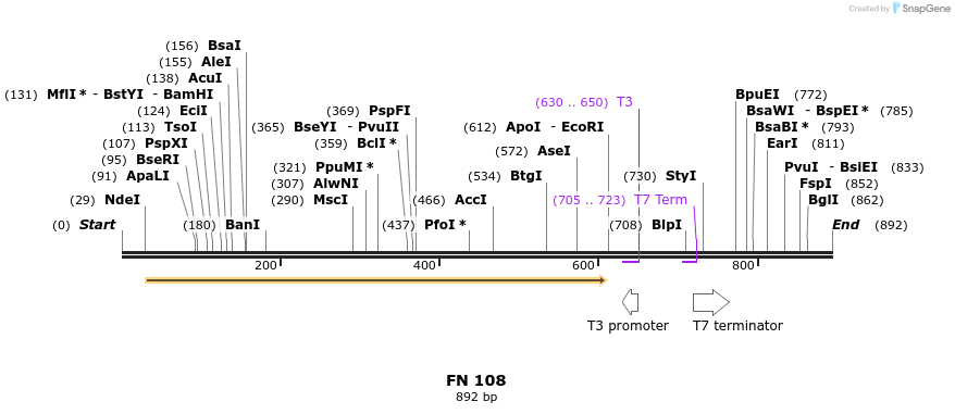78289_map