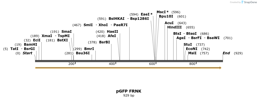 78305_map
