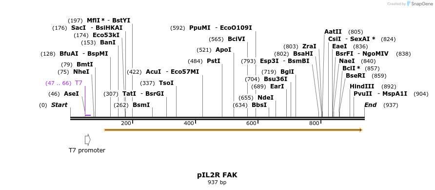 78306_map