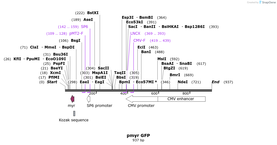 78307_map