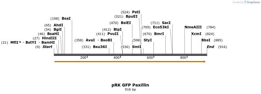 78308_map