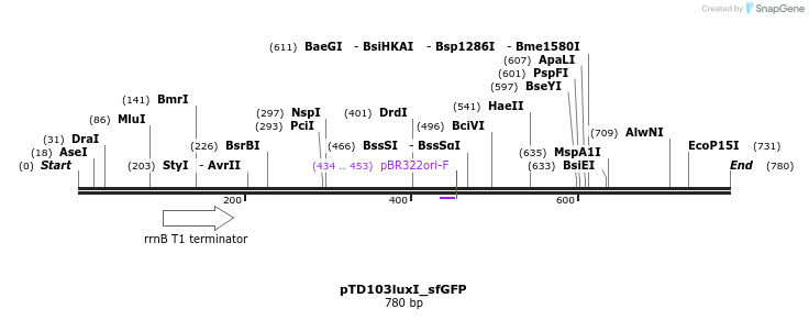 78312_map